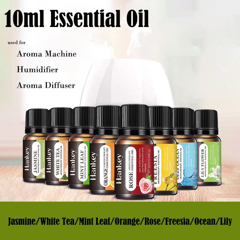Candle Making Essentials - 10ml reines ätherisches Öl Luftbe feuchter